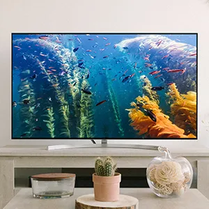 TV, DVD a videorekordéry